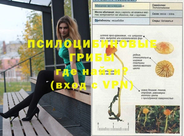 ALPHA-PVP Верея