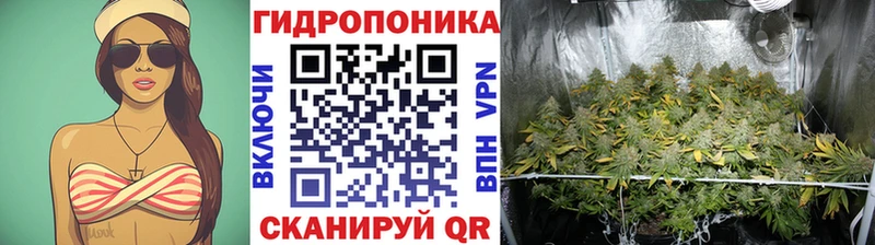 Конопля индика  блэк спрут tor  Мурманск 